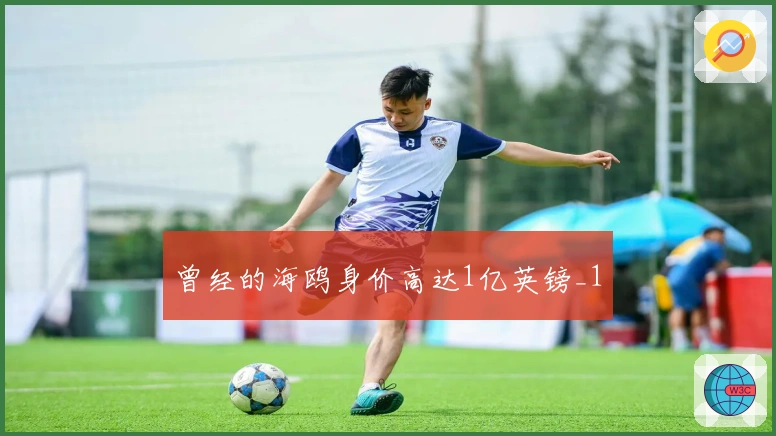 曾经的海鸥身价高达1亿英镑_1