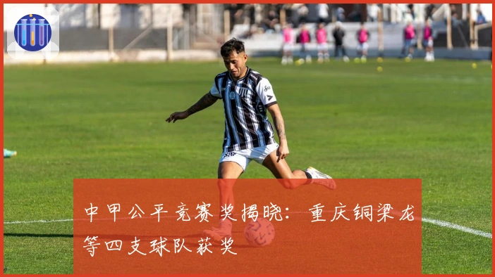 中甲公平竞赛奖揭晓：重庆铜梁龙等四支球队获奖