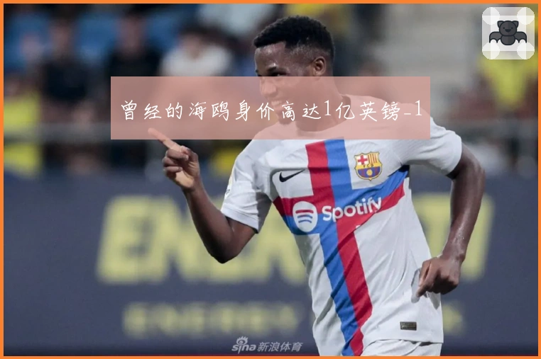 曾经的海鸥身价高达1亿英镑_1