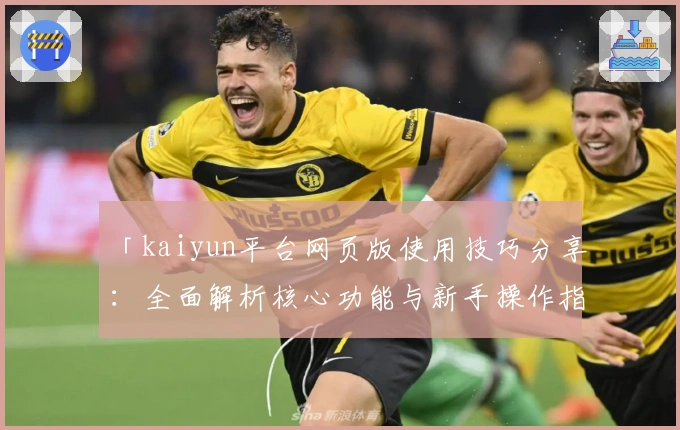 「kaiyun平台网页版使用技巧分享：全面解析核心功能与新手操作指南」